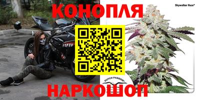PSILOCYBIN Гай