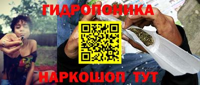 PSILOCYBIN Гай