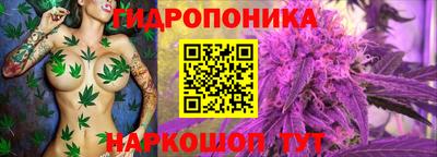 jwh Гагарин