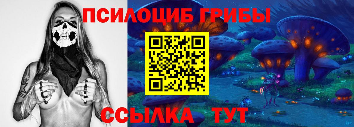 Галлюциногенные грибы Psilocybine cubensis  Вход с VPN  Галлюциногенные грибы Psilocybine cubensis  Кушва 